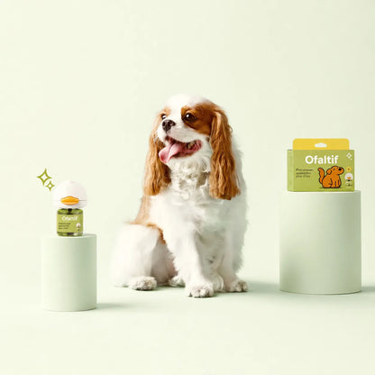 Diffuseur apaisant pour chien