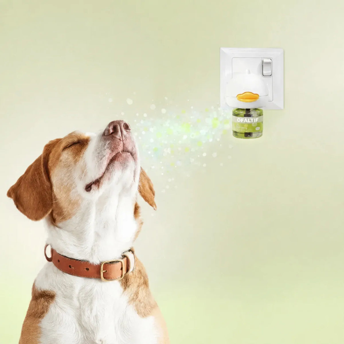 Diffuseur apaisant pour chien