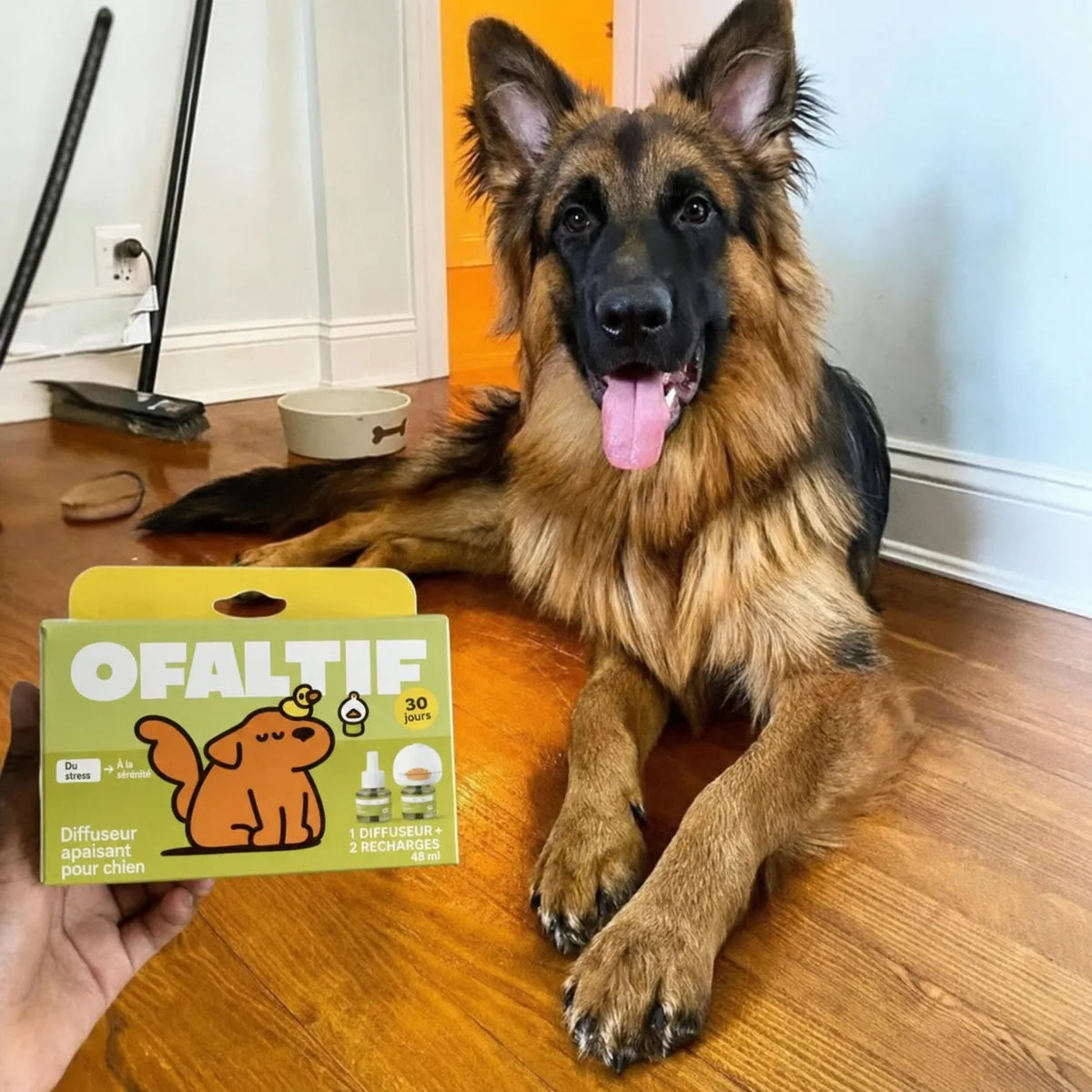 Diffuseur apaisant pour chien