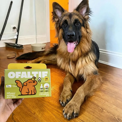Diffuseur apaisant pour chien
