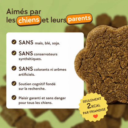 Friandises d’entraînement pour chiens