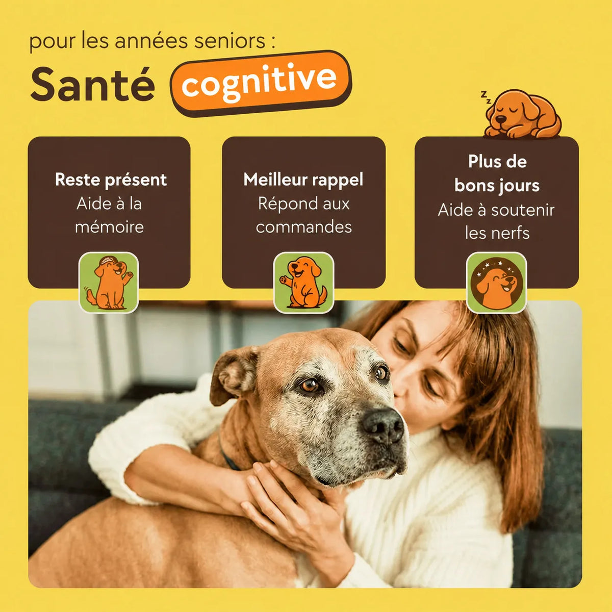 Friandises d’entraînement pour chiens