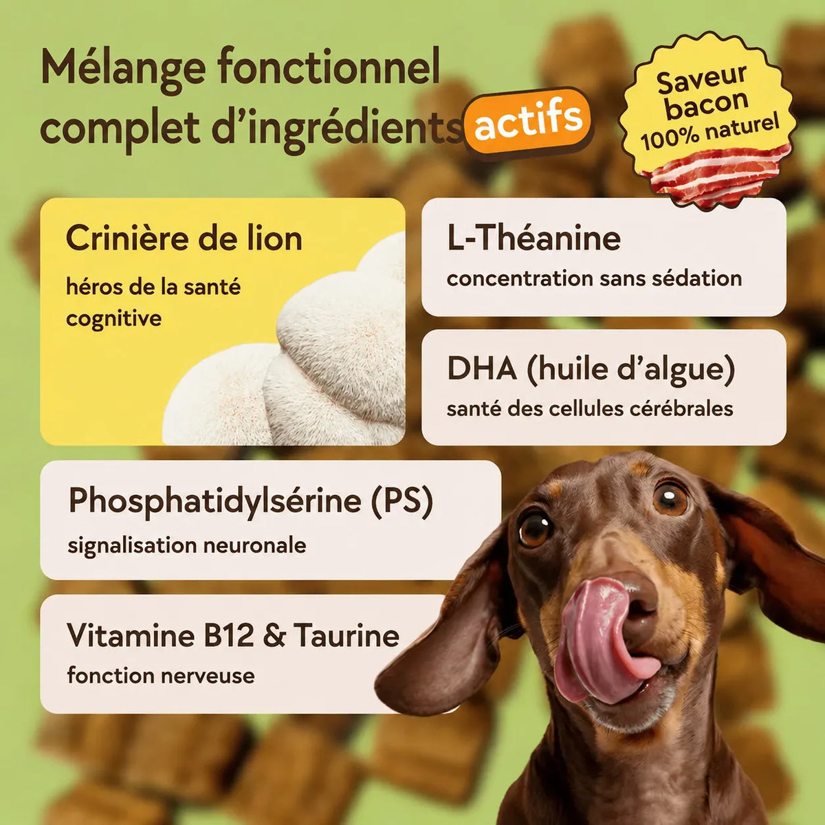Friandises d’entraînement pour chiens