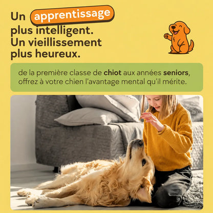 Friandises d’entraînement pour chiens