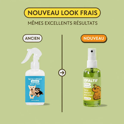 Spray apaisant pour chien