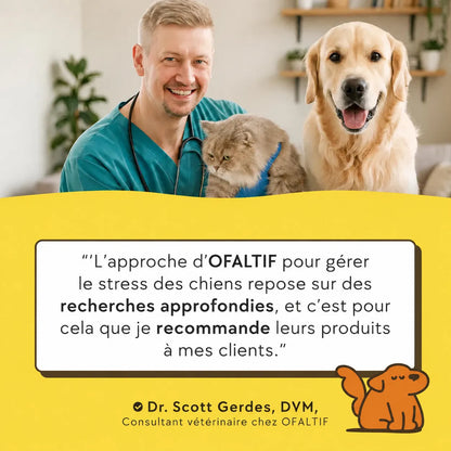Spray apaisant pour chien