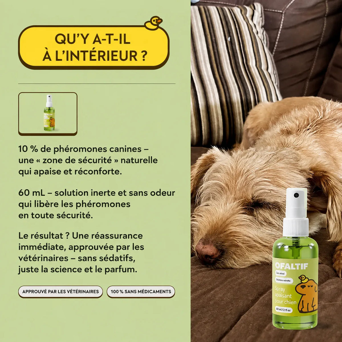 Spray apaisant pour chien