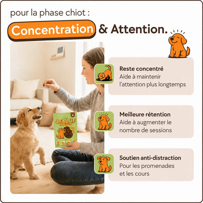 Friandises d’entraînement pour chiens
