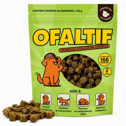 Friandises d’entraînement pour chiens