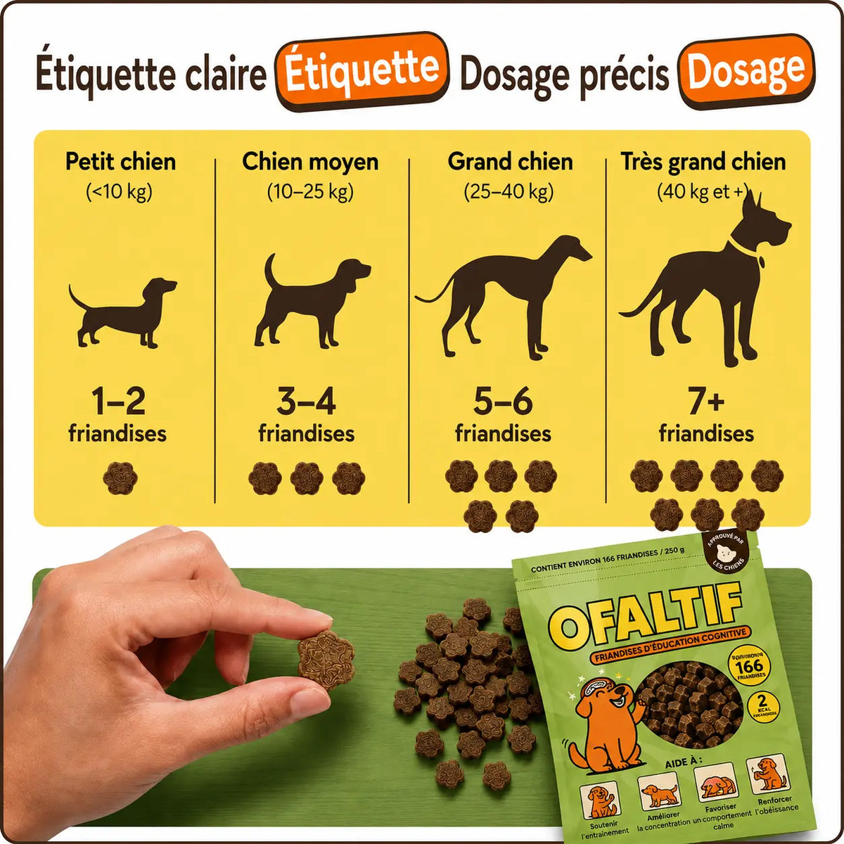 Friandises d’entraînement pour chiens
